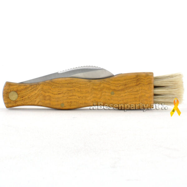 Pilzklappmesser, Holzgriff, gebogene Edelstahlklinge, Borste