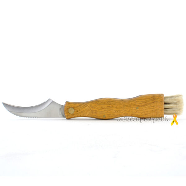 Pilzklappmesser, Holzgriff, gebogene Edelstahlklinge, Borste