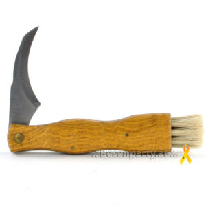 Pilzklappmesser, Holzgriff, gebogene Edelstahlklinge, Borste